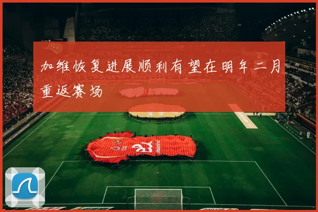加维恢复进展顺利有望在明年二月重返赛场