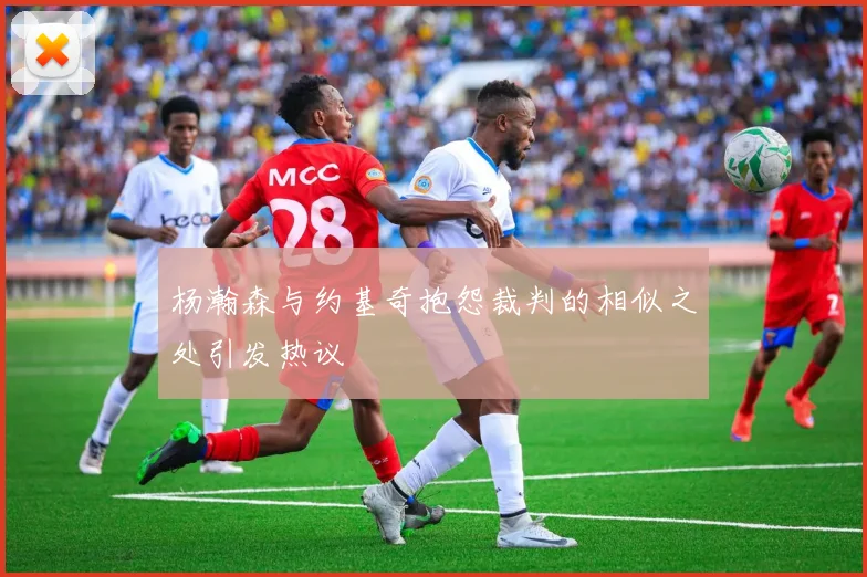杨瀚森与约基奇抱怨裁判的相似之处引发热议