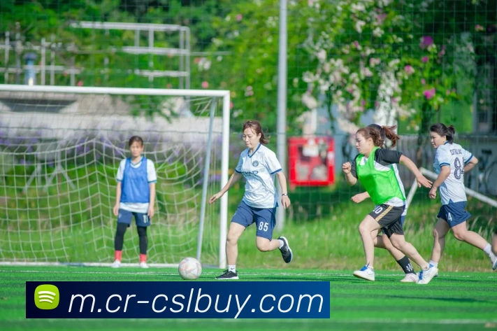 中超买球官网APP 高清赛事图